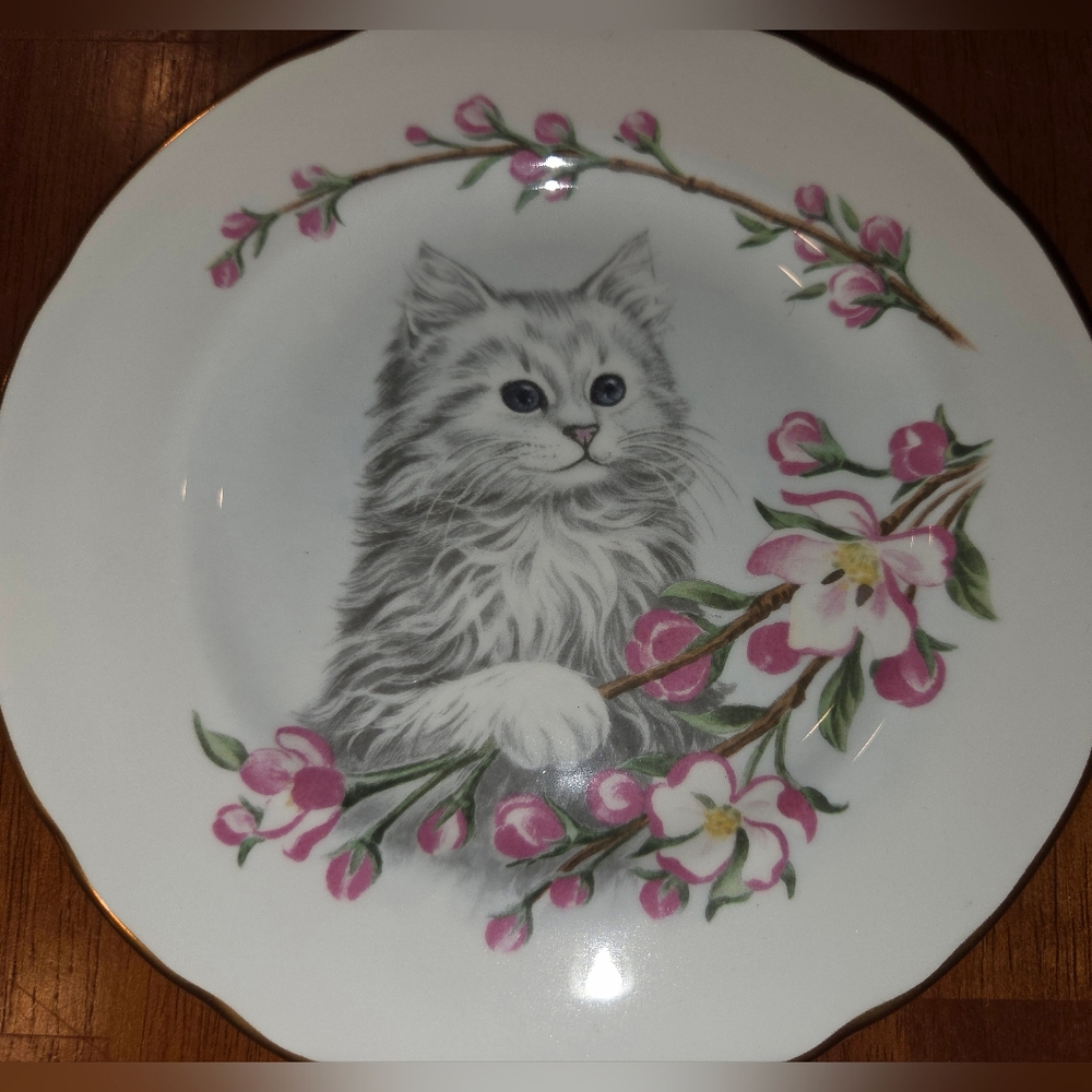 Vintage Crown Trent Fine Bone China Kitten Plate